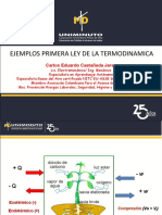 5.1.1. Ejemplo Primera Ley de Termo