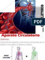 Tema Aparato Circulatorio 