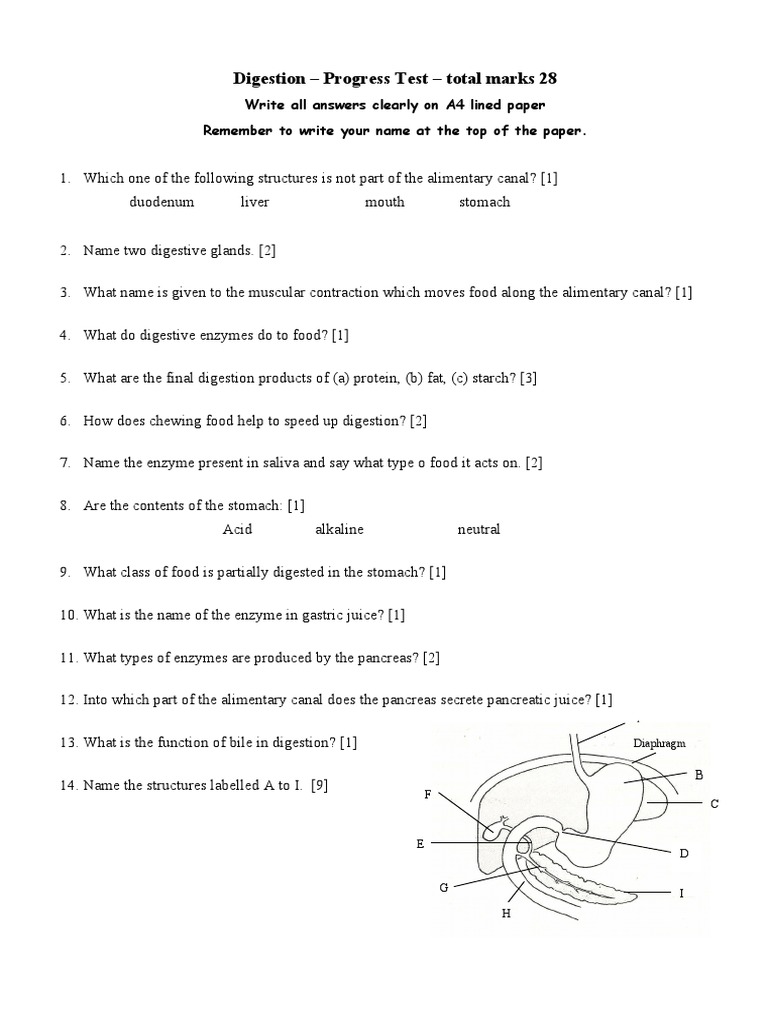 Digestion Progress Test Questions | PDF