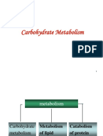 Carbohydrate Metabolism