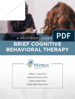 Guide to Brief CBT in 4 to 8 Sessions