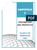 Capitulo 5 - Descripcion Del Proyecto