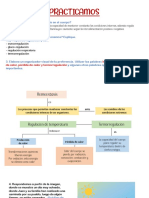 Homeosis-Nathsumi Padilla