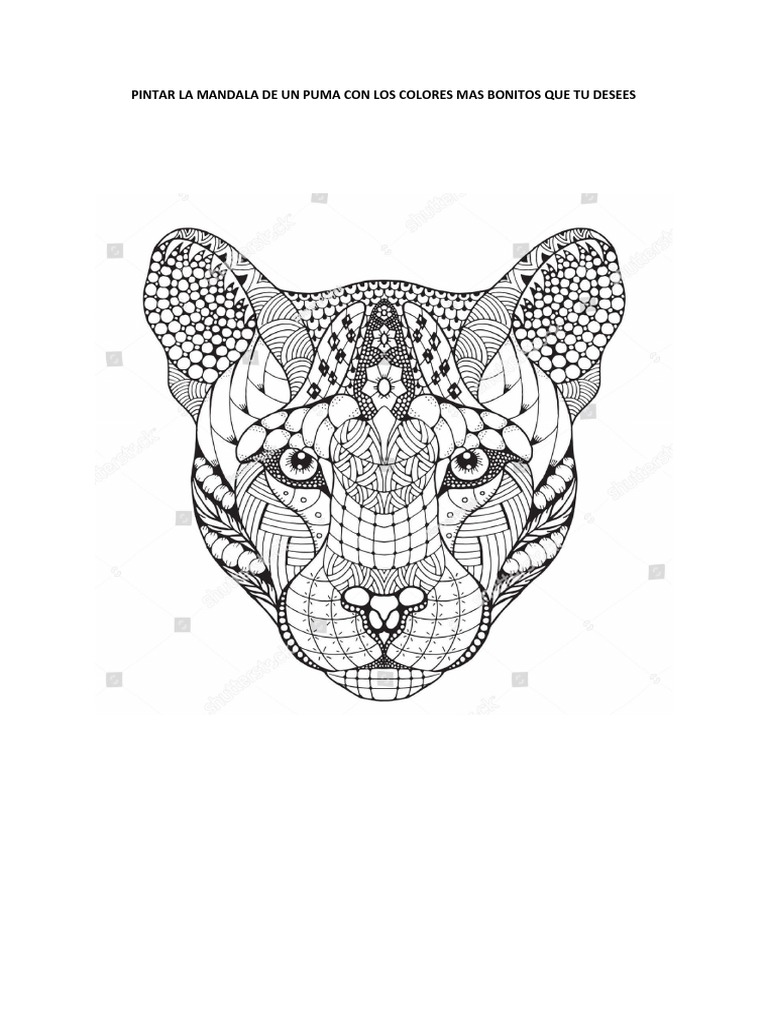 Mandala de Un Puma | PDF, image size:768x1024