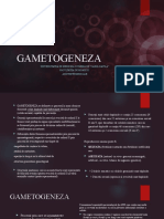 Gametogeneza