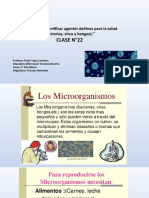 Los microorganismos 5° ciencias