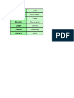 Categorias Taxonomicas