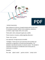 Dibujos Clasificacion Seres