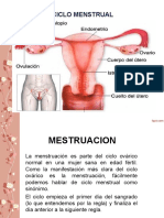 5. ciclo mestrual y ovarico