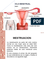 Ciclo Mestrual y Ovarico