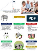 Infografia3