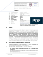 NUEVO SILABO ACTUALIZADO MEDIO AMBIENTE 2021-I Grupo A 