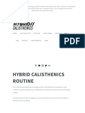 Hybrid calisthenics store