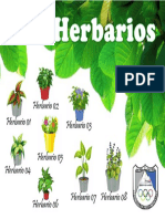 Enlaces - Presentacion Herbarios 