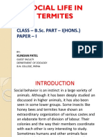 Social Life in Termites: Class - B.Sc. Part - I (Hons.) Paper - I