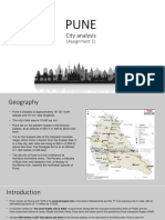 (Assignment 1) City Analysis