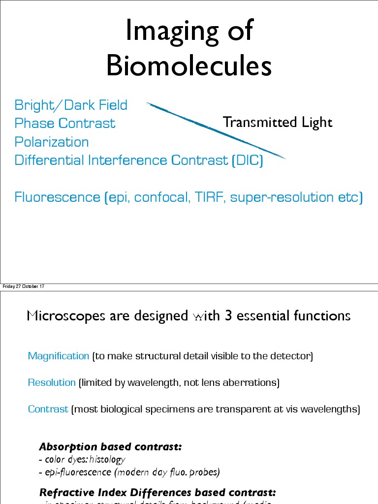 Imaging Bio Molecules | PDF | Fluorescence Microscope | Microscopy