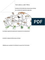 Guía Ciencias N°7 6° Básico Interaciones Troficas