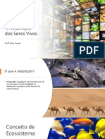 A Adaptação Dos Seres Vivos