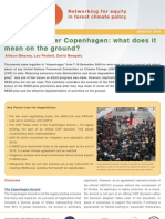 REDD After Copenhagen - What Does It Mean On The Ground (PDF