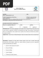 Prática Laboratorial de Circuitos Elétricos I 919067-1