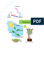 RAMAS DE LAS CIENCIAS