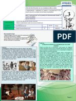 3º Sec CCSS Exp-5 Actv - Diversificada