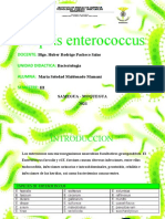 Sepsis Enterococos Diapositivas