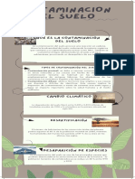 FotosíntesisContaminacion Del Suelo