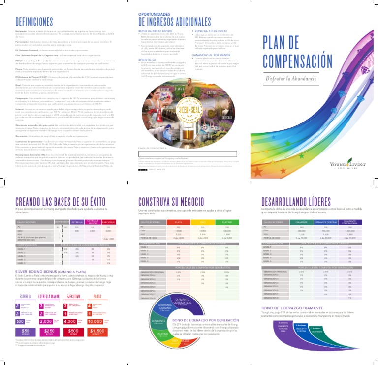 Comp Plan Flyer ES LatAm | PDF