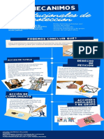 Infografia Mecanismos Constitucionales de Proteccion