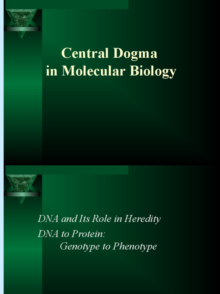 Central Dogma of Molecular Biology | PDF | Rna | Dna