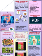 Folleto Sci