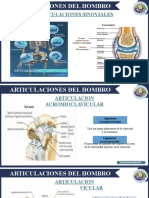 Artrologia Del Hombro