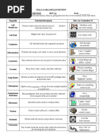 1a. CELLS AND ORGANELLES REVIEW