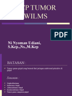 NCP Tumor Wilms: Ni Nyoman Udiani, S.Kep.,Ns.,M.Kep