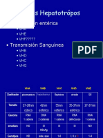 Hepatitis Virales