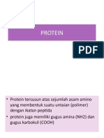 4 Protein