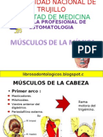 Musculos de La Mimica-091123222532-Phpapp02