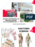 ANATOMIA 1-Posición Anatómica