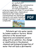 Water Pollutants and Effects