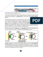 Capitulo 05 Implantacion y Anexogenesis 2017