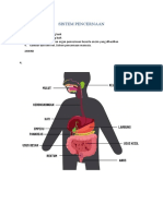 T1 Biology Sistem Pencernaan Manusia