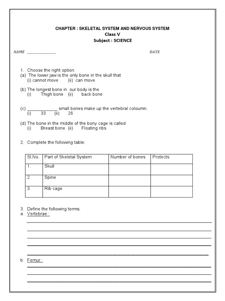 cbse class 5 science worksheets 13 skeletal and nervous system pdf skeleton vertebral column