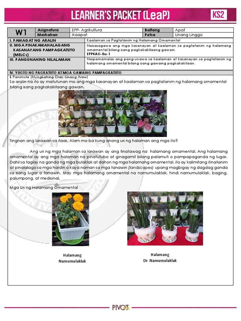 Q4 Elem AFA 4 Week1 | PDF