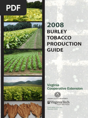 Burley Tobacco Production Guide - Virginia Tech (Pdfdrive) | PDF | Fertilizer