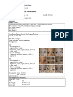 Logbook KOI Strabismus Sept-Okt 20