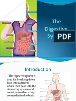 Digestive Sytem Week 2 F2F