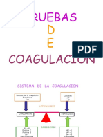 Pruebasdecoagulacin 100727105543 Phpapp02