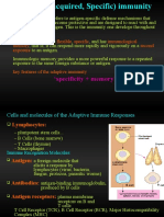 Specificity + Memory': Flexible Specific Immunological Memory Second Exposure